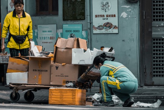 金钢菩提果子，神秘果实形态揭秘与深层探讨